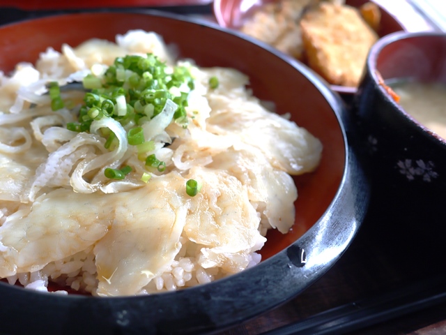 ふぐ刺しぶっかけ丼を食べに行ってきました うにのお取り寄せ 通販サイト うにのやまみ